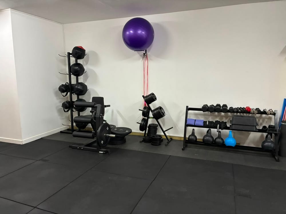 Sector de discos, mancuernas, kettlebells y balones medicinales